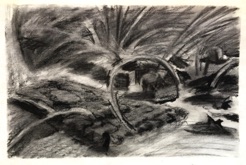 Park scene
charcoal